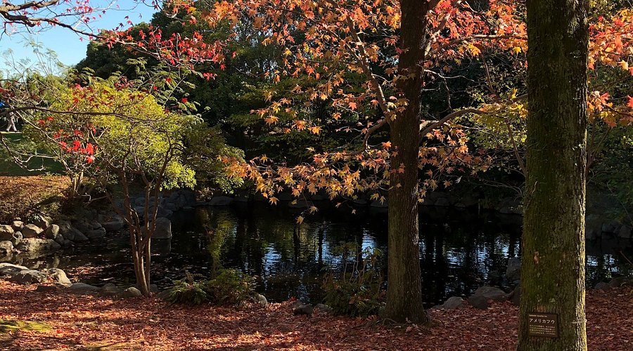 🌳 투구 무덤 공원(카부토즈카 코엔) 이미지 1